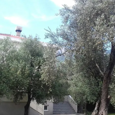 Pensionat Maslina Budva